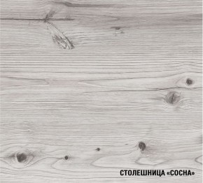 АСАЯ Кухонный гарнитур Экстра 2 (3000 мм) ПМ в Добрянке - dobryanka.ok-mebel.com | фото 8