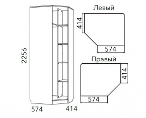 Детская Фанк Шкаф угловой Левый/Правый НМ 013.04-02 М в Добрянке - dobryanka.ok-mebel.com | фото 3