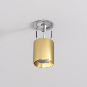 DK2610-SB Накладной светильник SHINE TUBE со светодиодом, D70*H80, IP20, 3000К, 10W, RA?90, сатинированная латунь, алюминий в Добрянке - dobryanka.ok-mebel.com | фото 3
