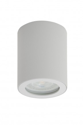 DK3007-WH Накладной светильник влагозащ., IP 44, 15 Вт, GU10, белый, алюминий в Добрянке - dobryanka.ok-mebel.com | фото