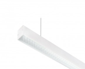 DK9124-WH Линейный светильник 30W 1250mm 4000K, белый в Добрянке - dobryanka.ok-mebel.com | фото 2