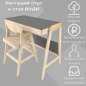 Комплект растущий стол и стул 38 попугаев «Вуди» (Серый, Без покрытия) в Добрянке - dobryanka.ok-mebel.com | фото