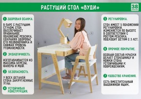 Комплект растущий стол и стул с чехлом 38 попугаев «Вуди» (Серый, Береза, Салют) в Добрянке - dobryanka.ok-mebel.com | фото