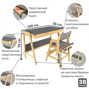 Комплект растущий стол и стул с чехлом 38 попугаев «Вуди» (Серый, Береза, Серый) в Добрянке - dobryanka.ok-mebel.com | фото