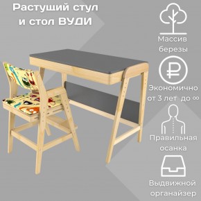 Комплект растущий стол и стул с чехлом 38 попугаев «Вуди» (Серый, Без покрытия, Монстры) в Добрянке - dobryanka.ok-mebel.com | фото
