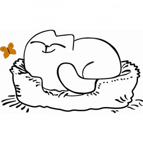Кровать двухуровневая Кот № 900.1 ЛЕВАЯ (туя светлая/белый) в Добрянке - dobryanka.ok-mebel.com | фото 2