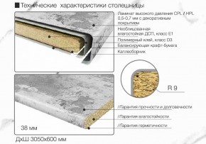 Кухонный фартук со столешницей (А-01) в едином стиле (3050 мм) в Добрянке - dobryanka.ok-mebel.com | фото 6