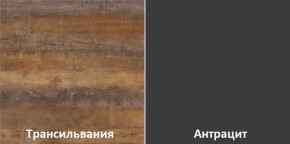 Кухонный гарнитур угловой Трансильвания 2600х1600 мм (Стол. 38 мм) в Добрянке - dobryanka.ok-mebel.com | фото 3