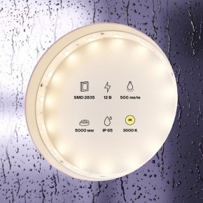 Лента светодиодная Maytoni Led strip 10105 в Добрянке - dobryanka.ok-mebel.com | фото 2