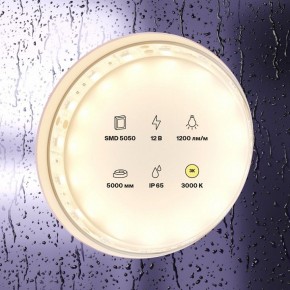 Лента светодиодная Maytoni Led strip 10131 в Добрянке - dobryanka.ok-mebel.com | фото 2