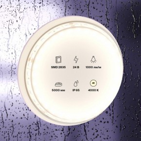 Лента светодиодная Maytoni Led strip 10146 в Добрянке - dobryanka.ok-mebel.com | фото 3