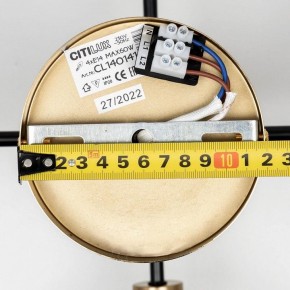 Люстра на штанге Citilux Бертон CL140141 в Добрянке - dobryanka.ok-mebel.com | фото 13
