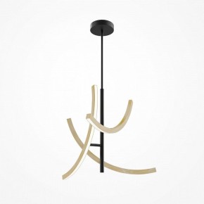 Люстра на штанге Maytoni Wabi MOD428PL-L27BK в Добрянке - dobryanka.ok-mebel.com | фото 5