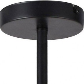 Люстра на штанге TopLight Jemimah TL1216D-08BL в Добрянке - dobryanka.ok-mebel.com | фото 5
