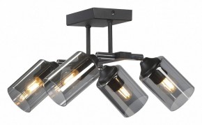 Люстра на штанге Vitaluce V2833 V2833-1/4PL в Добрянке - dobryanka.ok-mebel.com | фото