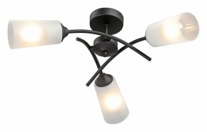 Люстра на штанге Vitaluce V2850 V2850-1/3PL в Добрянке - dobryanka.ok-mebel.com | фото 2
