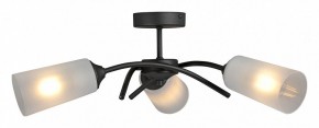 Люстра на штанге Vitaluce V2850 V2850-1/3PL в Добрянке - dobryanka.ok-mebel.com | фото 3
