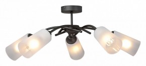 Люстра на штанге Vitaluce V2850 V2850-1/5PL в Добрянке - dobryanka.ok-mebel.com | фото