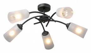 Люстра на штанге Vitaluce V2850 V2850-1/5PL в Добрянке - dobryanka.ok-mebel.com | фото 2