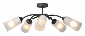 Люстра на штанге Vitaluce V2850 V2850-1/5PL в Добрянке - dobryanka.ok-mebel.com | фото 3