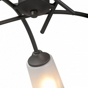 Люстра на штанге Vitaluce V2850 V2850-1/5PL в Добрянке - dobryanka.ok-mebel.com | фото 6