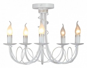 Люстра на штанге Vitaluce V3035 V3035-0/5PL в Добрянке - dobryanka.ok-mebel.com | фото 2