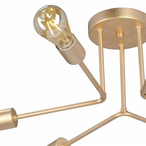 Люстра на штанге Vitaluce V3071 V3071-8/6PL в Добрянке - dobryanka.ok-mebel.com | фото 6
