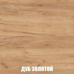 МСП-1 Шкаф 2-х створчатый (Дуб Золотой/Камень темный) в Добрянке - dobryanka.ok-mebel.com | фото 4