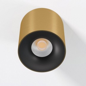 Накладной светильник Elektrostandard Primo 25116/LED в Добрянке - dobryanka.ok-mebel.com | фото 2
