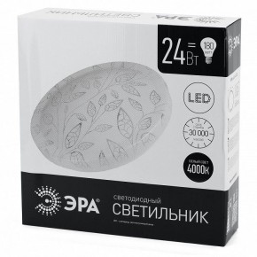Накладной светильник Эра Классик SPB-6-24-4K (C) в Добрянке - dobryanka.ok-mebel.com | фото 4