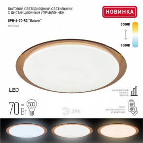 Накладной светильник Эра Классик SPB-6-70-RC Saturn (B) в Добрянке - dobryanka.ok-mebel.com | фото 2