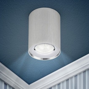 Накладной светильник Эра  OL1 GU10 SL/CH в Добрянке - dobryanka.ok-mebel.com | фото 3