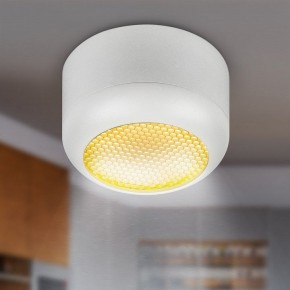 Накладной светильник Эра  OL56 WH в Добрянке - dobryanka.ok-mebel.com | фото 8