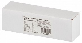 Накладной светильник Эра  TRM-S5-1-6W4K-WH в Добрянке - dobryanka.ok-mebel.com | фото 6