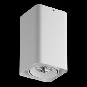 Накладной светильник Lightstar Monocco 052136-IP65 в Добрянке - dobryanka.ok-mebel.com | фото 2
