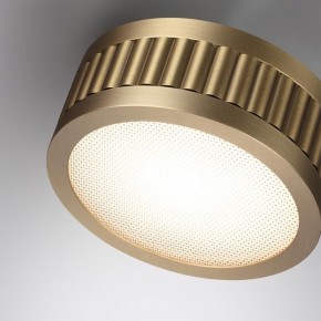 Накладной светильник Odeon Light Manchester 7013/7CL в Добрянке - dobryanka.ok-mebel.com | фото 5