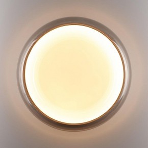 Накладной светильник Sonex PORTMAN 7777/DLN в Добрянке - dobryanka.ok-mebel.com | фото 6