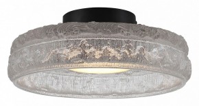 Накладной светильник ST-Luce ANTIKE SL6143.402.01 в Добрянке - dobryanka.ok-mebel.com | фото 2