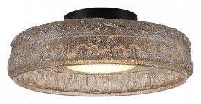 Накладной светильник ST-Luce ANTIKE SL6143.422.01 в Добрянке - dobryanka.ok-mebel.com | фото 3