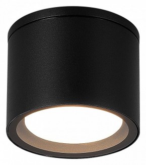 Накладной светильник ST-Luce Tubo SL9006.402.01 в Добрянке - dobryanka.ok-mebel.com | фото 2