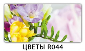 Обеденный раздвижной стол Бриз с фотопечатью Цветы R044 в Добрянке - dobryanka.ok-mebel.com | фото 11