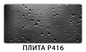 Обеденный стол Паук с фотопечатью узор Доска D113 в Добрянке - dobryanka.ok-mebel.com | фото 12