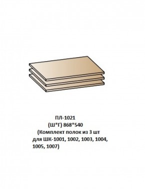 ПЛ-1021 (Комплект полок из 3 шт для ШК-1001, 1002, 1003, 1004, 1005, 1007) в Добрянке - dobryanka.ok-mebel.com | фото