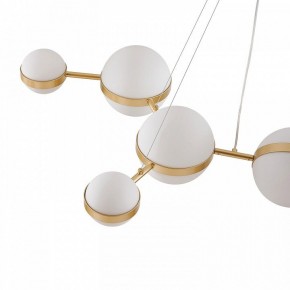 Подвесная люстра Favourite Asterismo 4448-8P в Добрянке - dobryanka.ok-mebel.com | фото 7