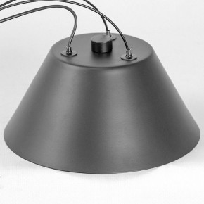 Подвесная люстра Lussole Hopkins LSP-7408 в Добрянке - dobryanka.ok-mebel.com | фото 7