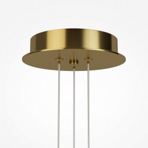 Подвесная люстра Maytoni Arana MOD401PL-L108BS3K в Добрянке - dobryanka.ok-mebel.com | фото 7