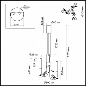 Подвесная люстра Odeon Light Lark 5431/6L в Добрянке - dobryanka.ok-mebel.com | фото 5