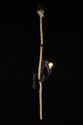 Подвесной светильник Aployt Magali APL.309.16.01 в Добрянке - dobryanka.ok-mebel.com | фото 3