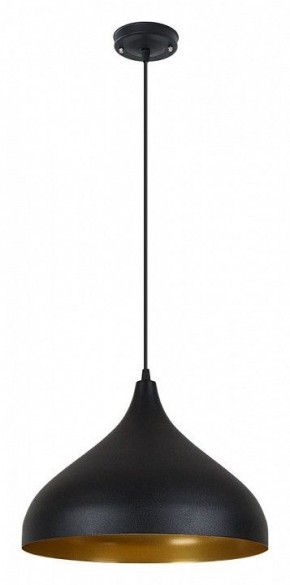 Подвесной светильник Arte Lamp Carmel A7076SP-1BK в Добрянке - dobryanka.ok-mebel.com | фото 2