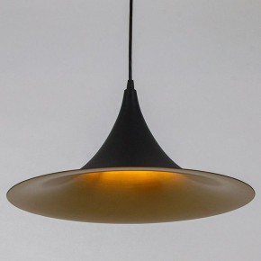 Подвесной светильник Arte Lamp Carmel A7080SP-1BK в Добрянке - dobryanka.ok-mebel.com | фото
